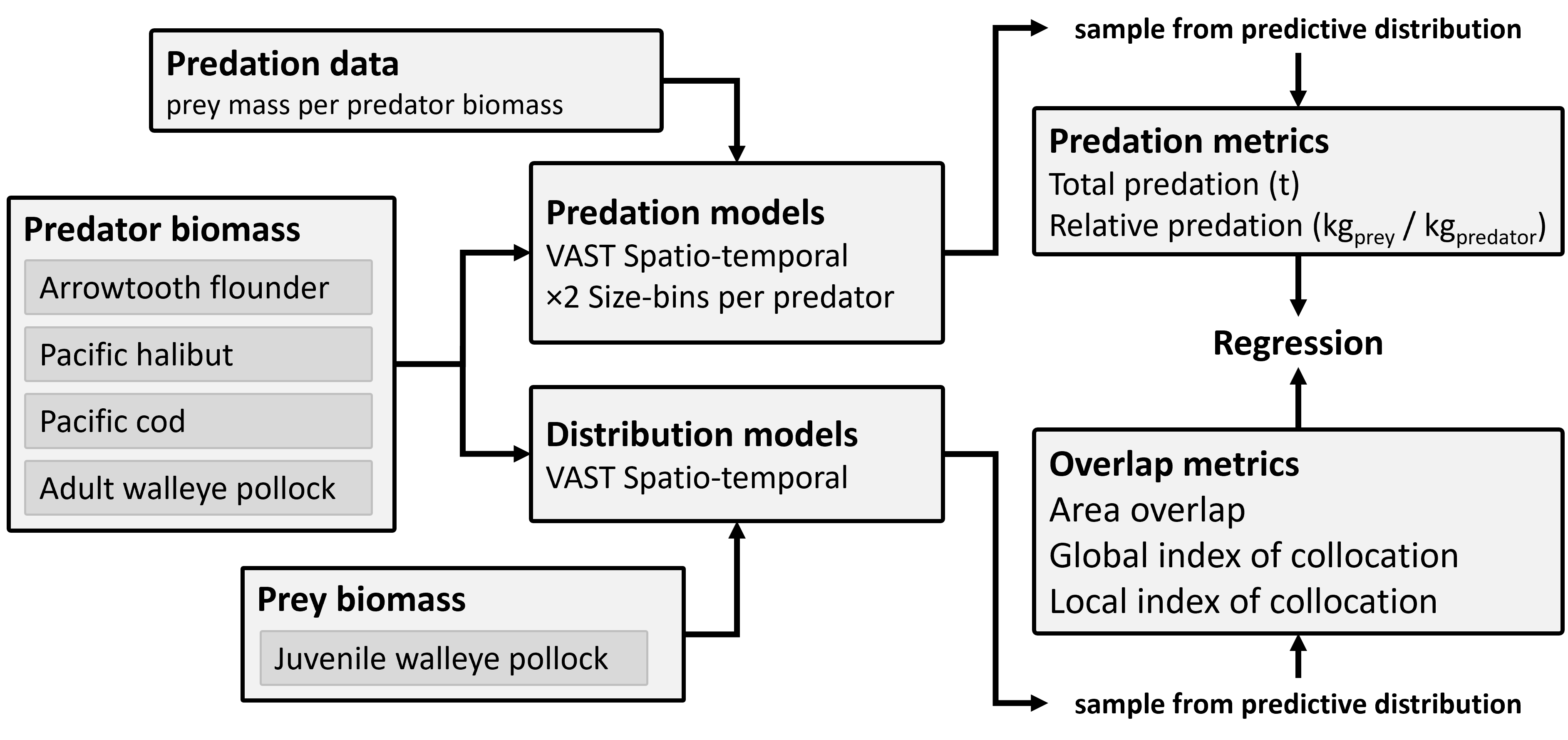 For each species of predator, we used VAST (Vector Autoregressive Spatio-Temporal) models to generate annual estimates of spatial overlap with, and predation on, juvenile pollock. Predation is measured annually as both the total biomass of juvenile pollock consumed (in tonnes) by each species of predator across the EBS annually (“total predation”), and as the average biomass of juvenile pollock consumed per biomass of predator (“relative biomass”).