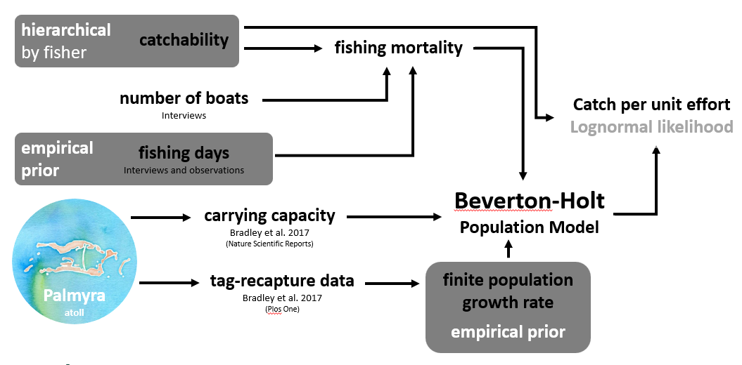 A diagram of our modeling approach - a Bayesian dynamic population model allows us to integrate multiple types of data from fisher interviews with tag-recapture and demographic parameter estimates from nearby Palmyra atoll, enabling inference in a data-limited fishery.
